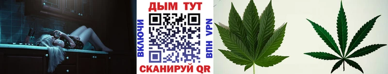 Канабис SATIVA & INDICA  Ермолино 